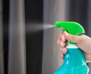 Clean Hands, Shared Objects, and Modern Leisure: Hygiene Habits for a Social World